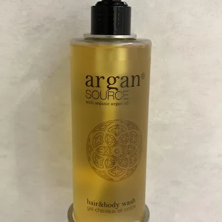 Oltenia George Enescu Apartment *