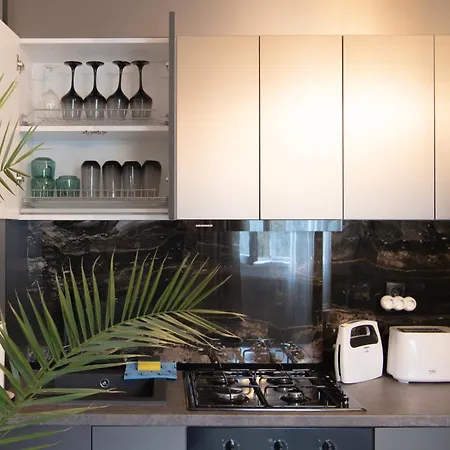 Oltenia George Enescu *