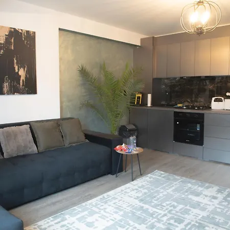 Oltenia George Enescu Apartment *