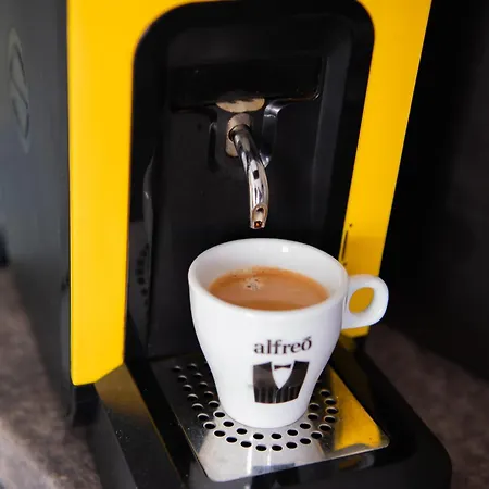 Oltenia George Enescu *