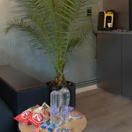 Apartment Oltenia George Enescu *