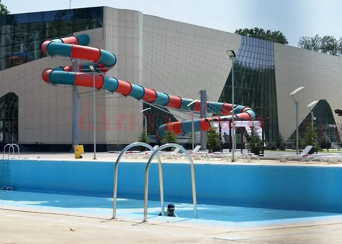 Oltenia George Enescu