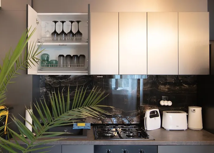 Oltenia George Enescu *