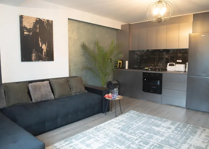 Oltenia George Enescu 아파트 *