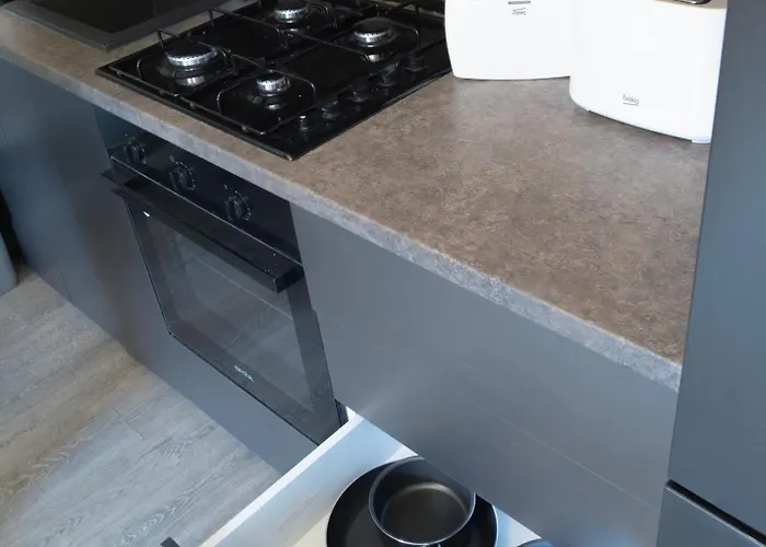 Oltenia George Enescu