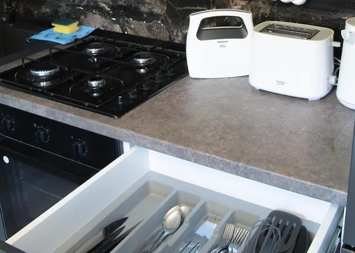 Oltenia George Enescu